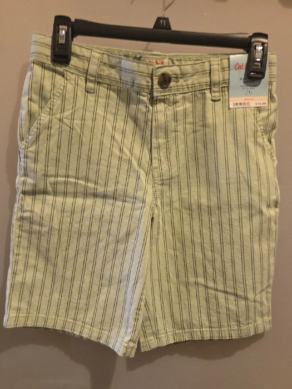 Cat & Jack Girl's Green Pinstripe Shorts